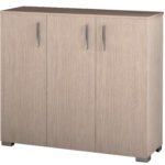 Παπουτσοθήκη Basic24